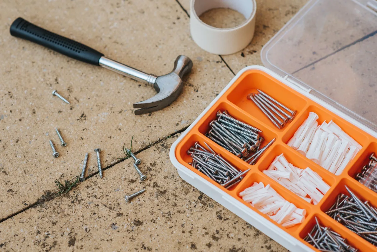 Common Pest Control Mistakes Dubai Owners Make
