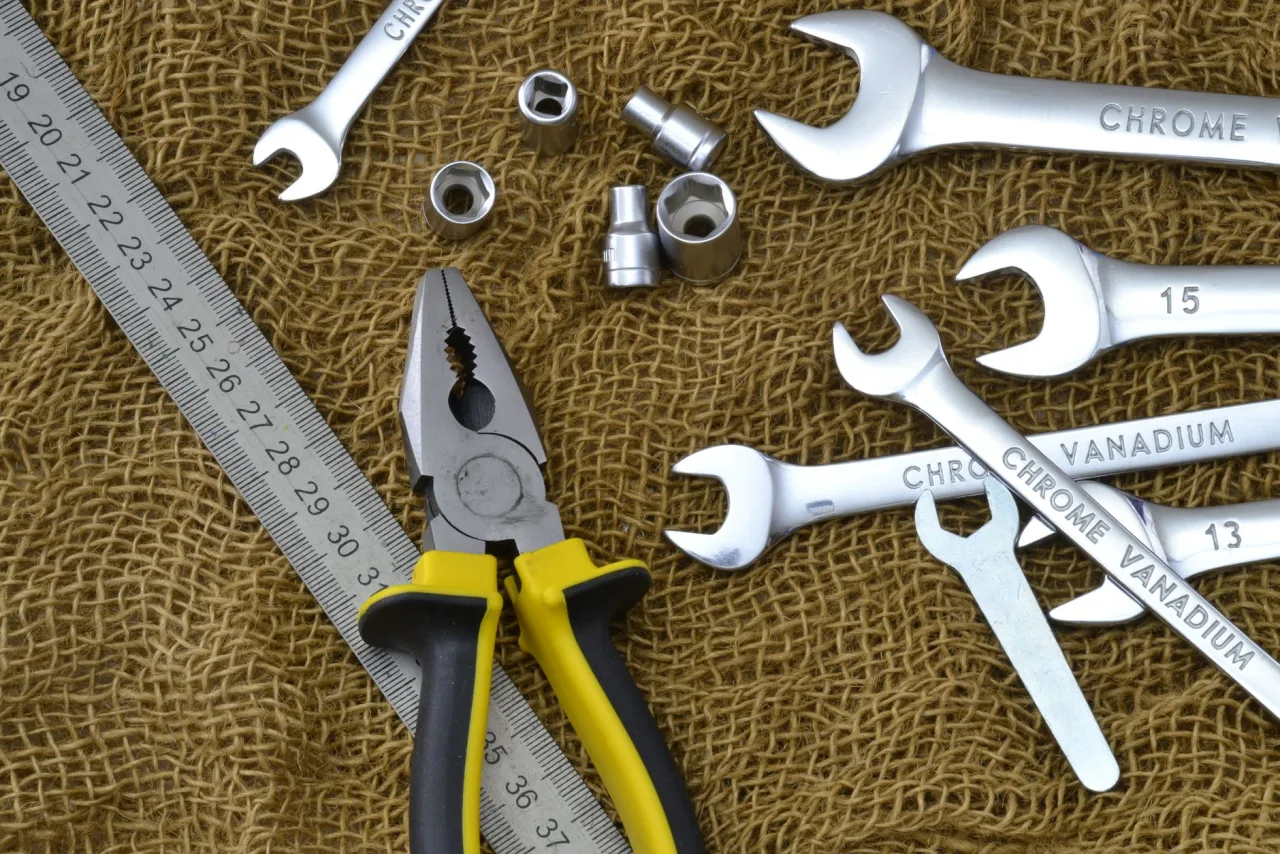 How Much Does Pest Control Cost in Dubai?